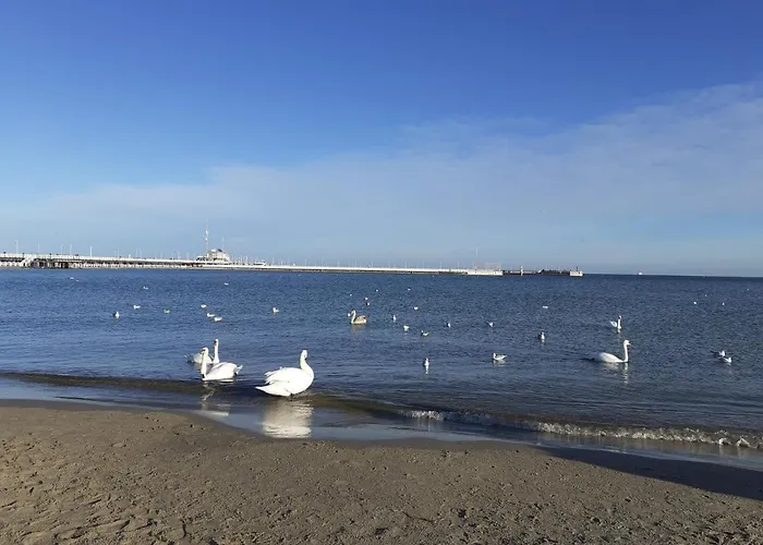 Chopina 5 M5 - Centrum Sopotu 3 Min Do Monciaka Apartament Sopot